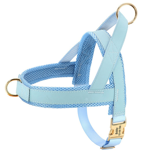 Personalized Harness
